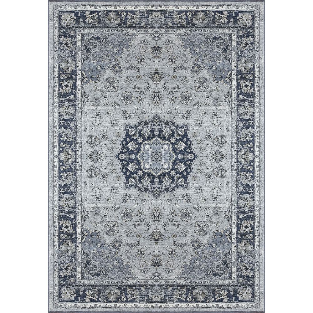 Dynamic Rugs 57559-9686 Ancient Garden 9.2 Ft. X 12.10 Ft. Rectangle Rug in Silver/Blue